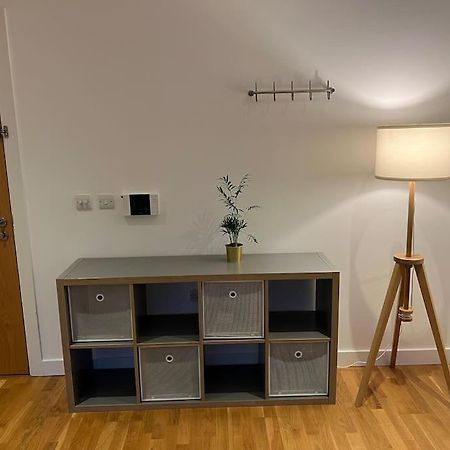 Modern 2 Bed - Olympic Park Stratford Appartement Londen Buitenkant foto